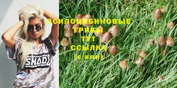 меф Алзамай
