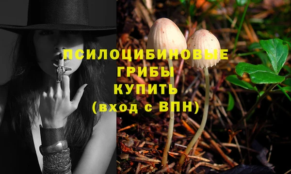 COCAINE Алексеевка